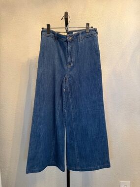 🆕 Anthropologie Pilcro and the Letterpress Wide Flare Crop Jeans